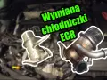 Uszkodzona chłodnica EGR? Rozpoznaj objawy i uniknij drogiej awarii!