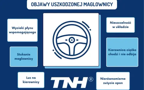 Grafika przedstawia objawy uszkodzonej maglownicy: wycieki, stukanie, luz, nieszczelność, ciężko chodzącą kierownicę i nierównomierne zużycie opon.