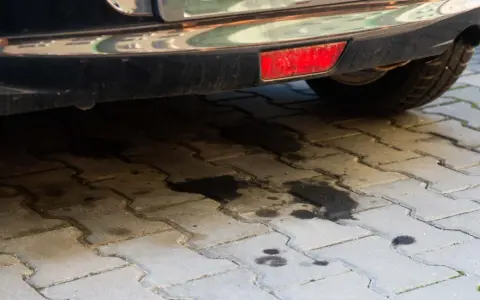 Wyciek z maglownicy: Diagnoza, regeneracja, wymiana. Co wybrać?