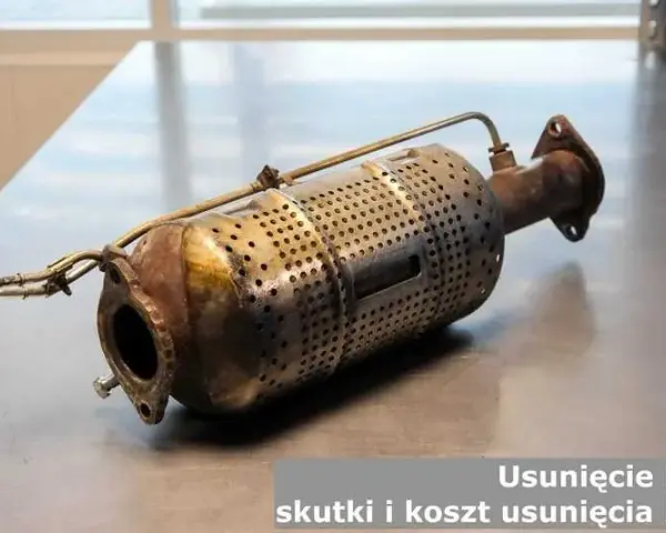Wycięcie DPF: Koszt 1200-2500 zł, ale czy warto ryzykować 5000 zł?